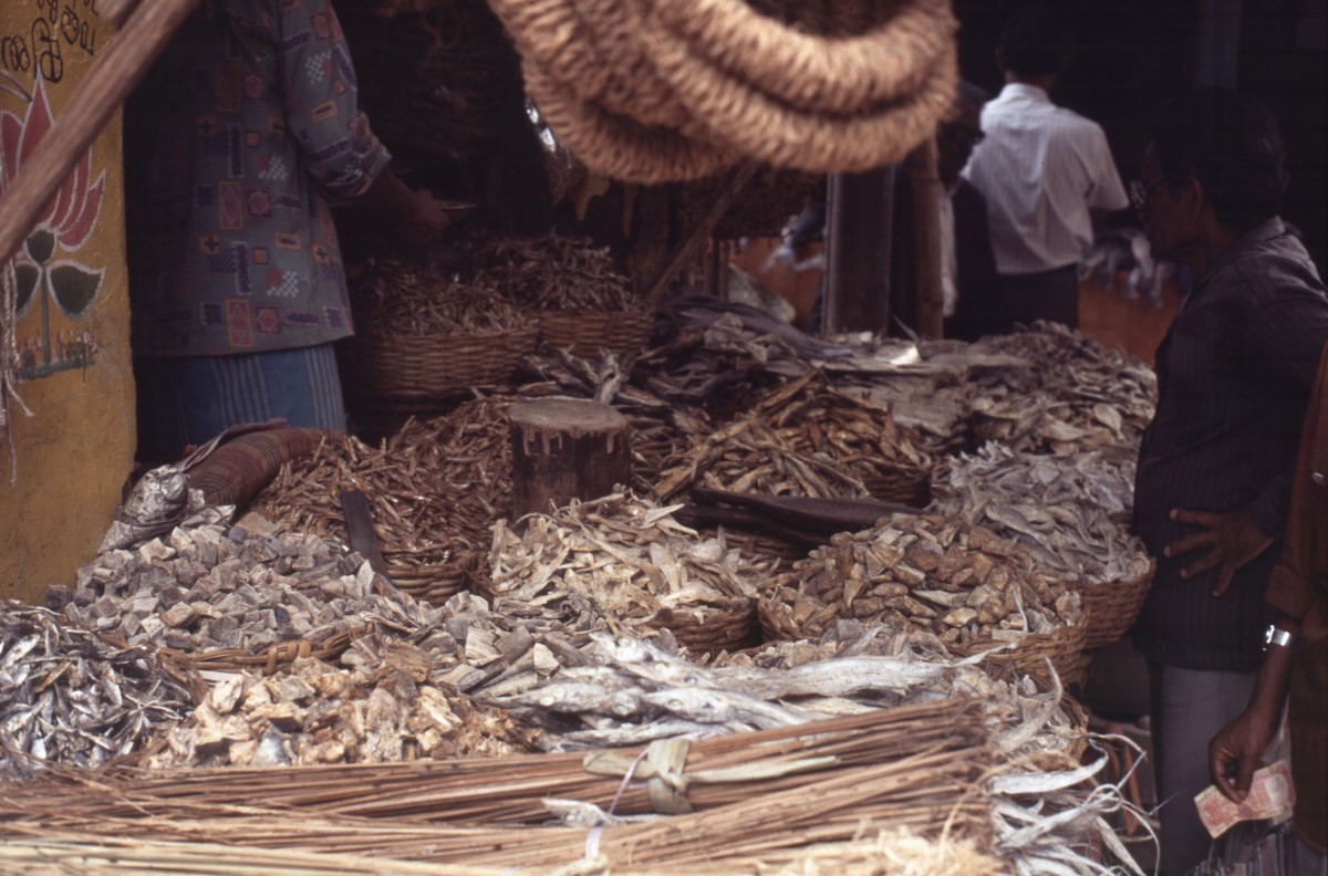 319_diverse_tote_tiere.jpg