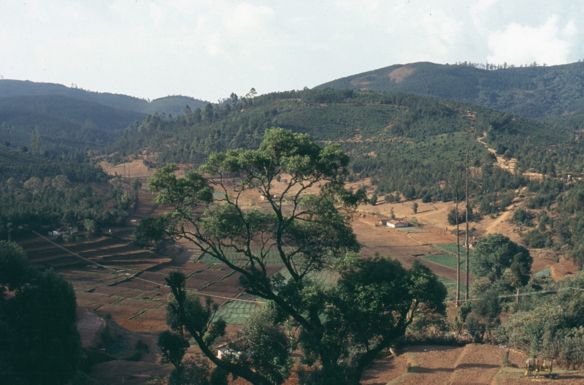 351_richtung_bandipur.jpg