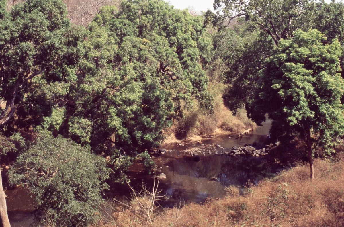 355_unterwegs_ein_fluss.jpg