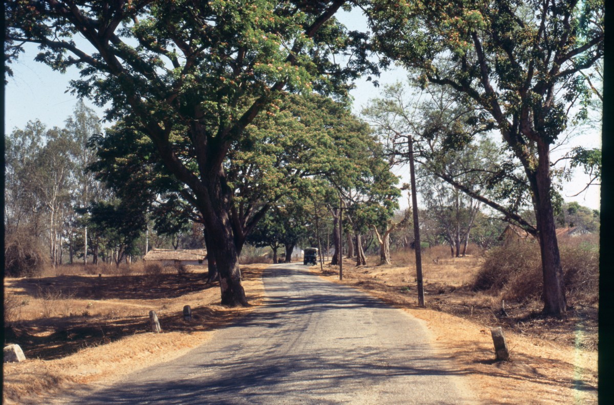 357_on_the_road.jpg