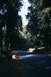 346_im_bergwald.jpg