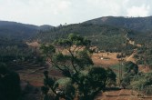 351_richtung_bandipur.jpg