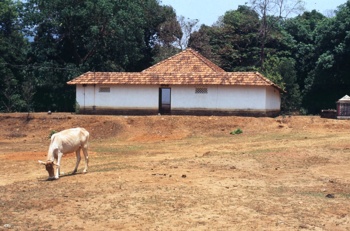 386_eingang_jain_tempel.jpg