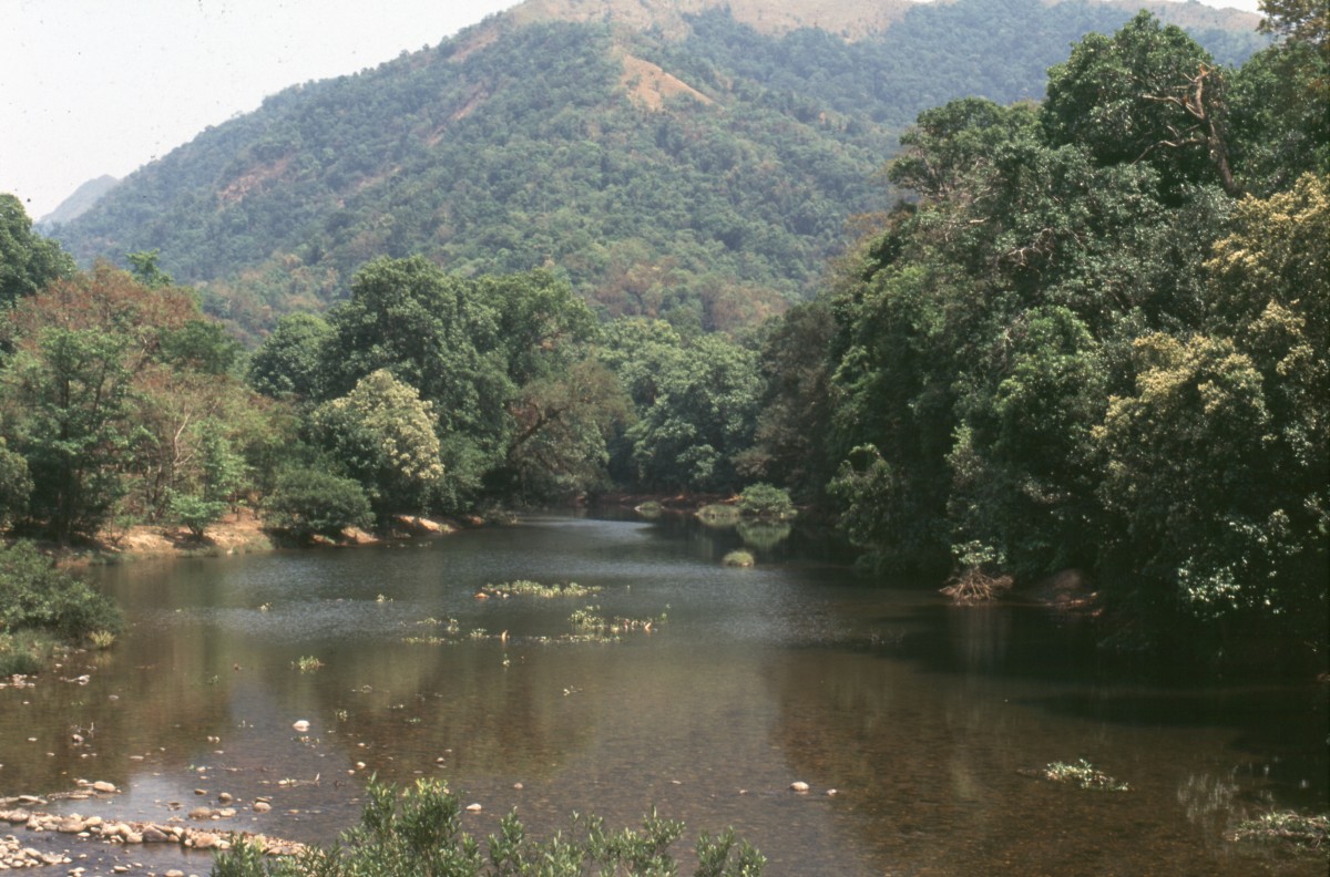408_am_fluss.jpg
