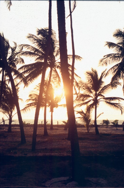 464_back_on_the_beach.jpg