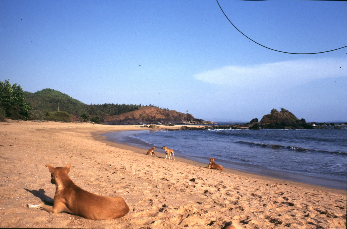 501_gesellschaft_am_strand.jpg