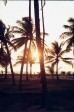 464_back_on_the_beach.jpg