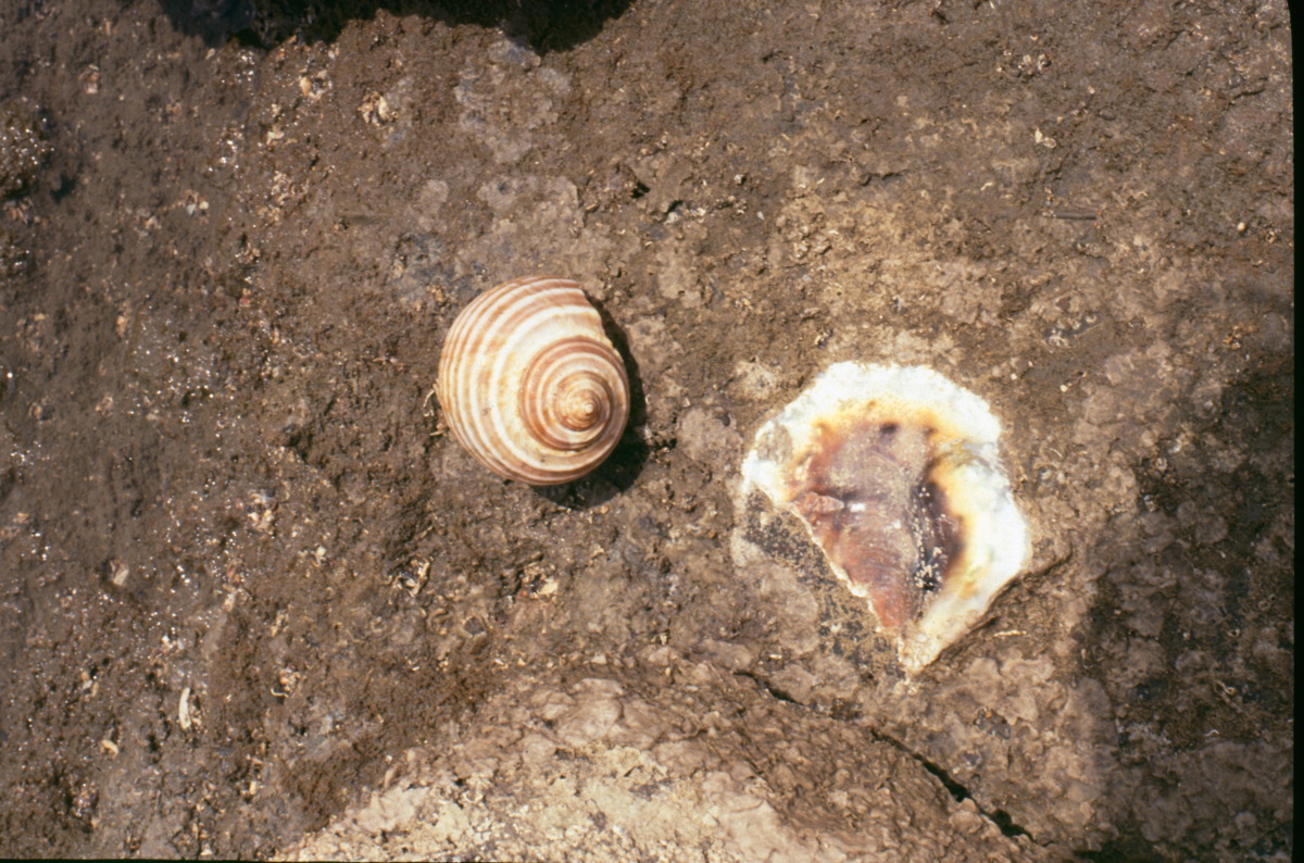 018_details_am_strand.jpg