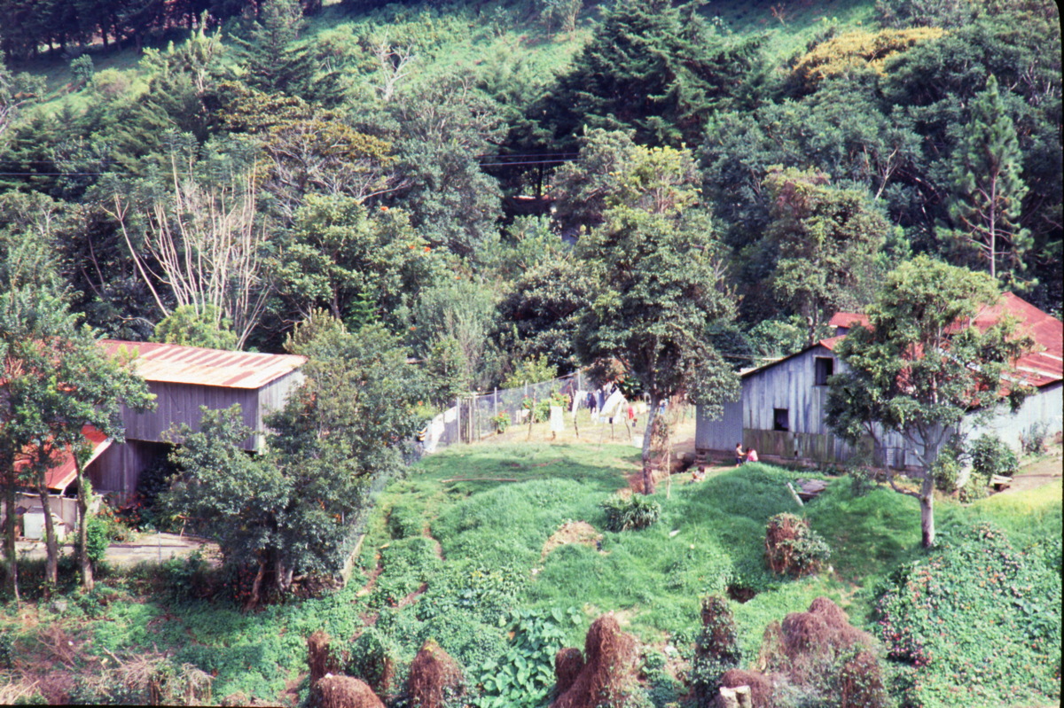 034_farmland.jpg