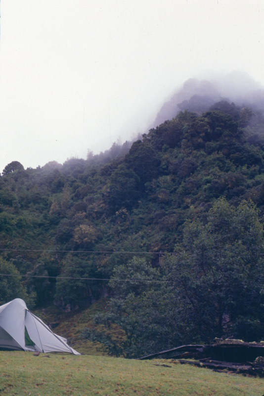 054_alles_im_nebel.jpg