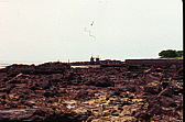 015_am_strand.jpg