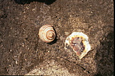 018_details_am_strand.jpg
