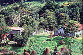 034_farmland.jpg