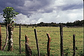041_weideland.jpg