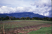 043_schoen_beackert.jpg
