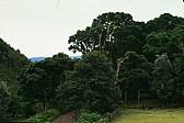 055_auf_der_bergwiese.jpg