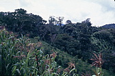 063_rueckweg.jpg