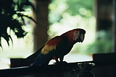 068_nochmal_besuch.jpg