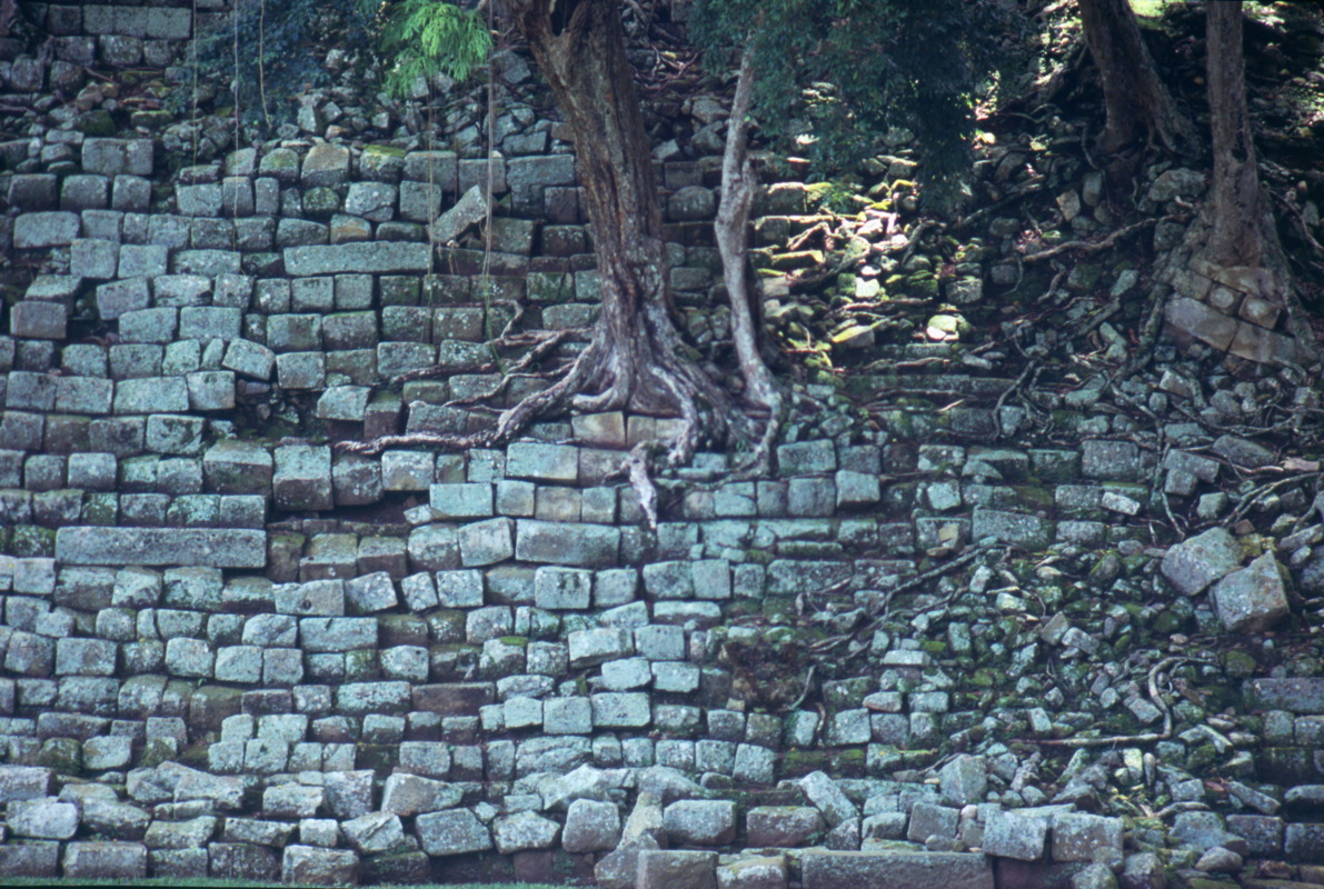 099_copanii.jpg