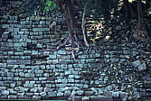 099_copanii.jpg