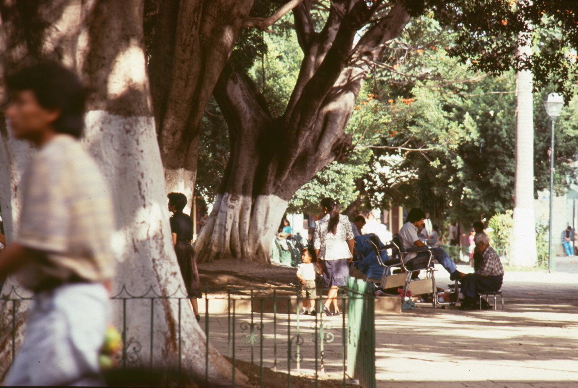 133_am_zocalo__von_oaxaca.jpg