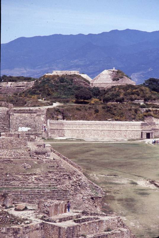 137_ruineni.jpg