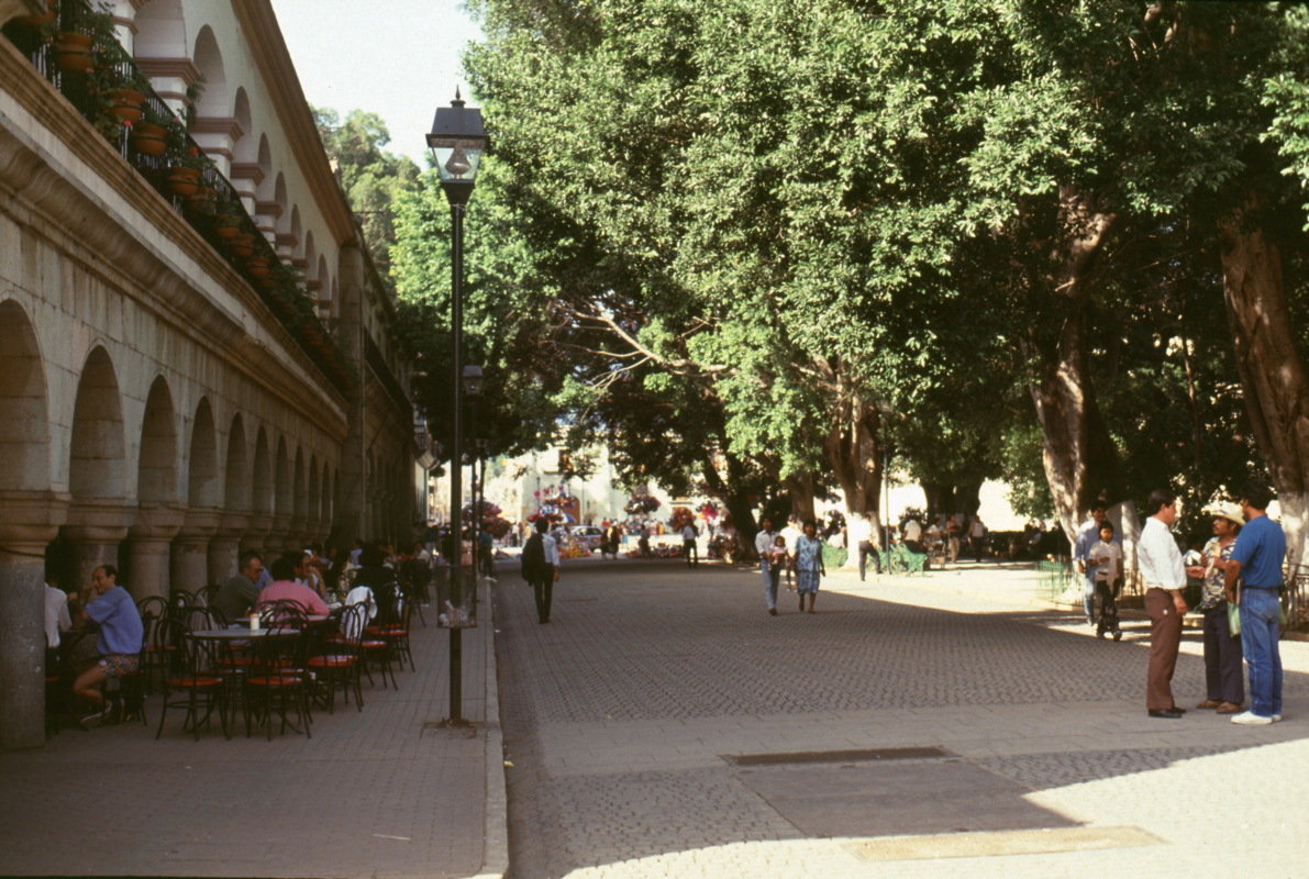 151_am_zocaloi.jpg