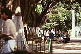133_am_zocalo__von_oaxaca.jpg