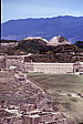 137_ruineni.jpg