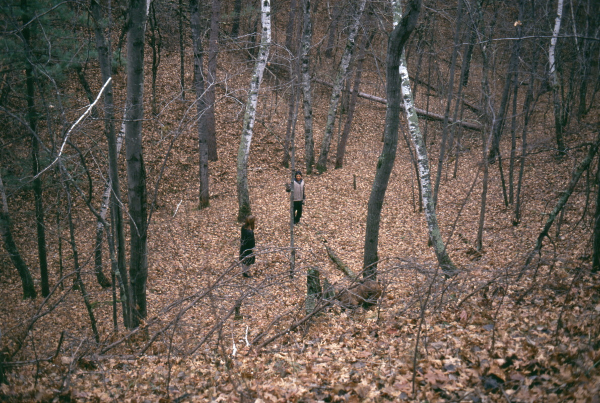 183_nochmal_17_seconds.jpg