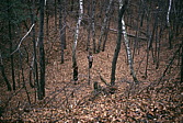 183_nochmal_17_seconds.jpg