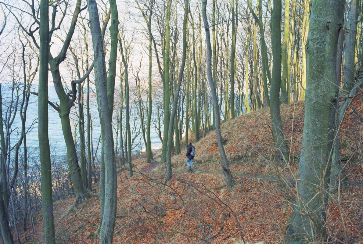 015_stubbenkammer.jpg