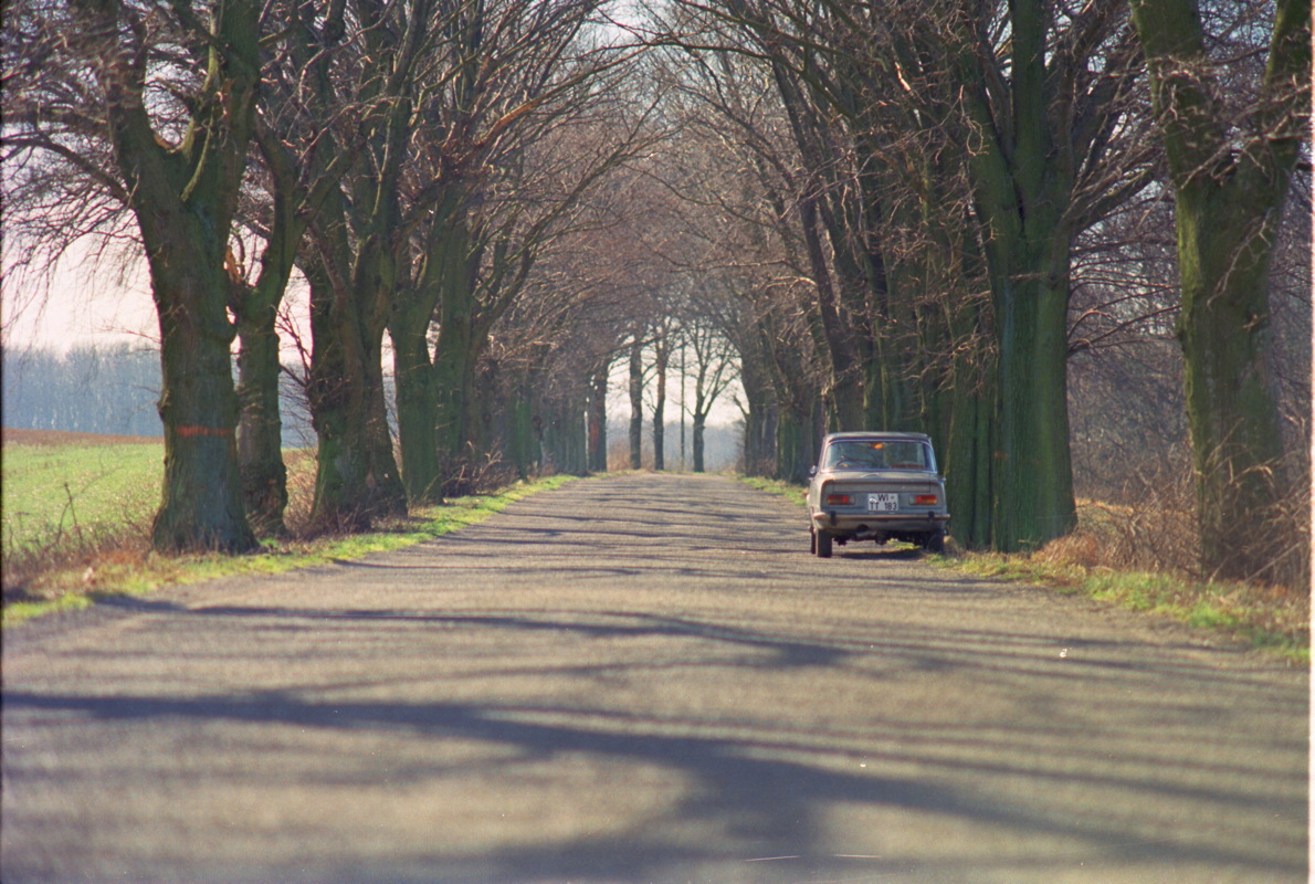 017_allee_mit_giulia.jpg