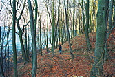 015_stubbenkammer.jpg