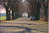 017_allee_mit_giulia.jpg