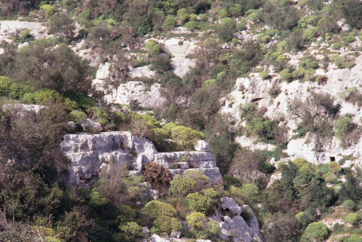 016_am_rand_des_canyon.jpg
