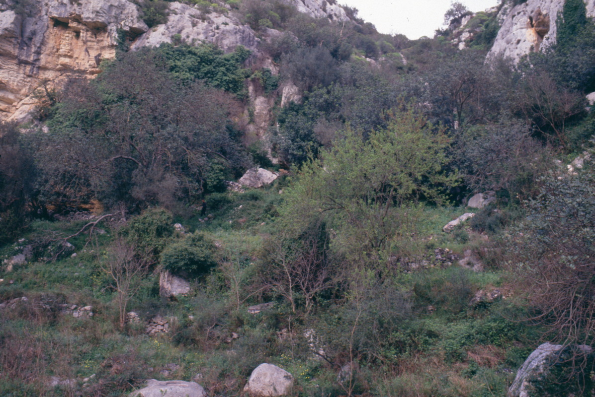 017_wandern_im_canyon.jpg