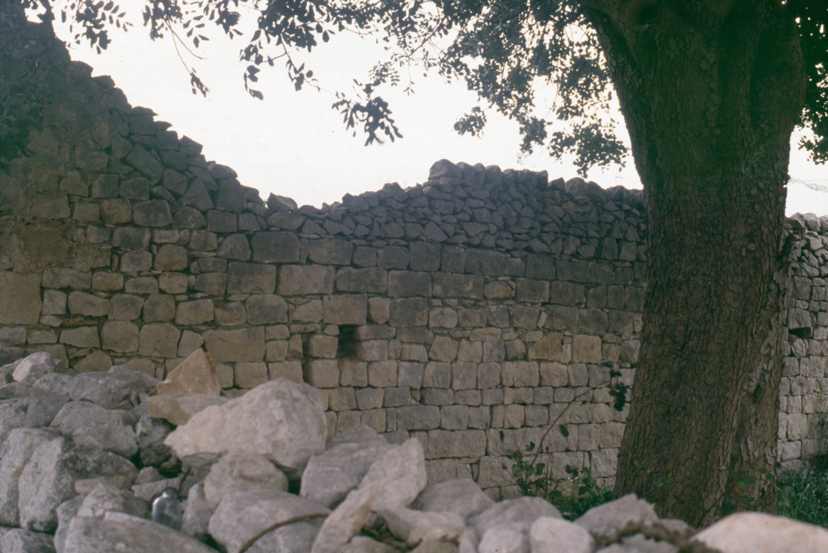 032_mauer_und_baum.jpg
