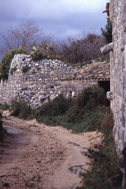 037_noch_mehr_mauer.jpg