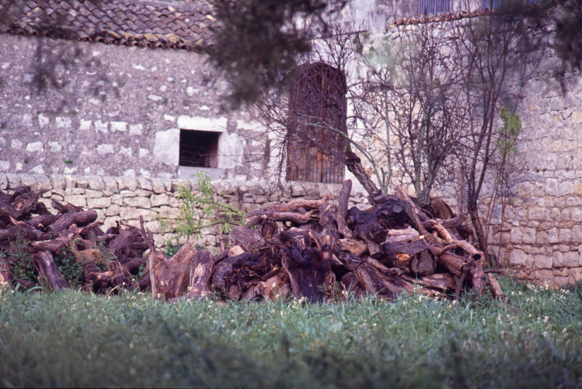 041_holz_vor_der_huette.jpg