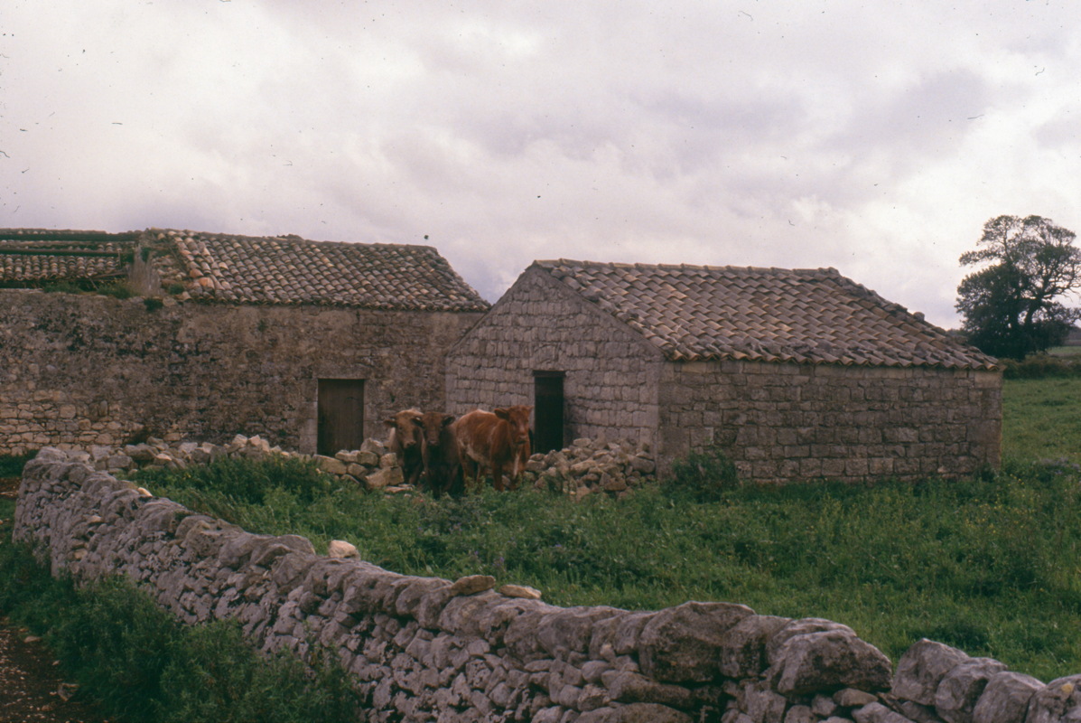 046_auf_der_farm.jpg