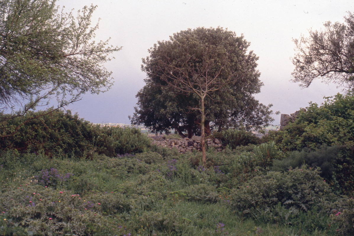 047_kuechengarten.jpg