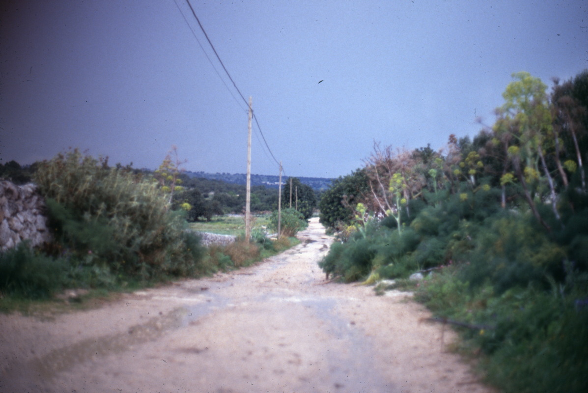 058_seitenstrasse.jpg