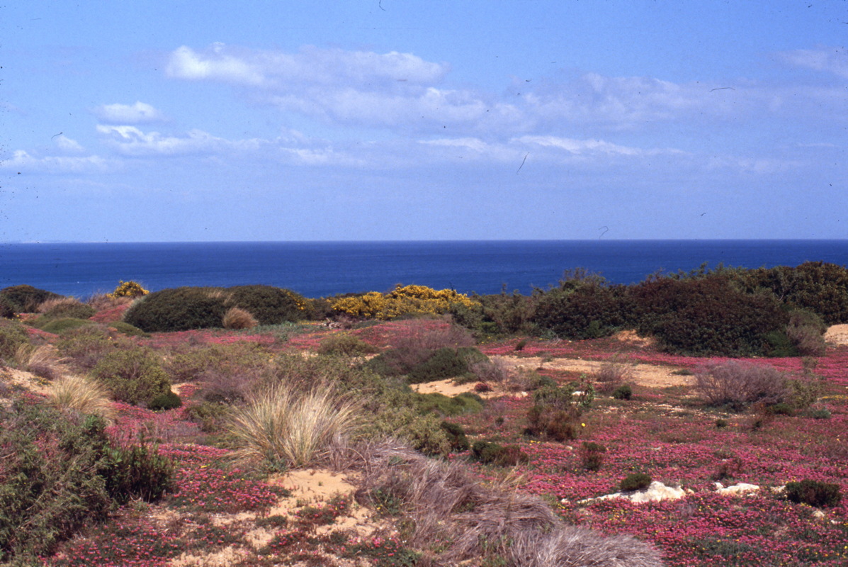066_blaues_meer.jpg