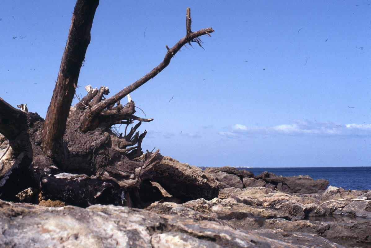 068_kunst_am_strand.jpg