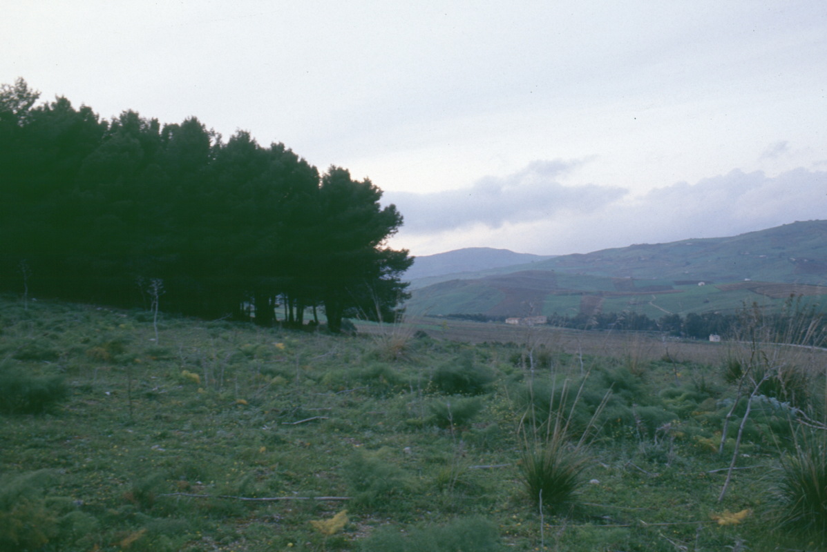 095_am_waldrand.jpg