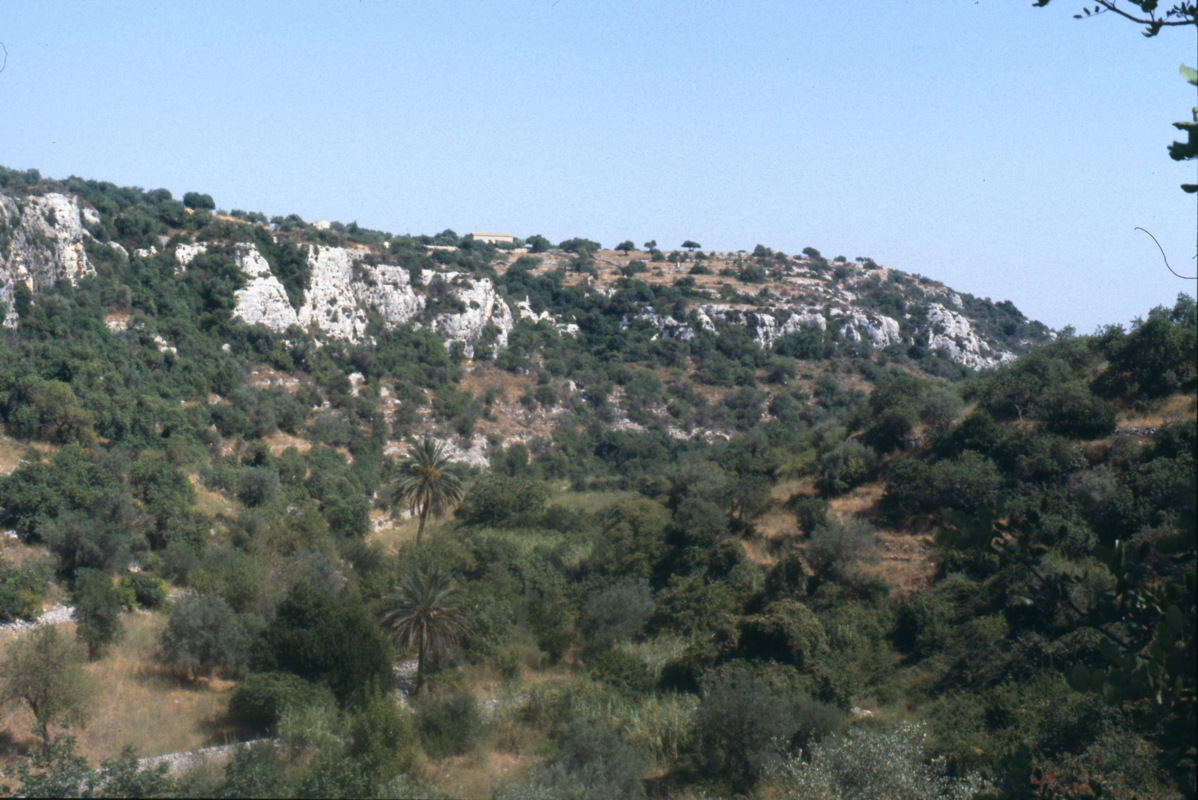 025_blick_in_die_cava.jpg
