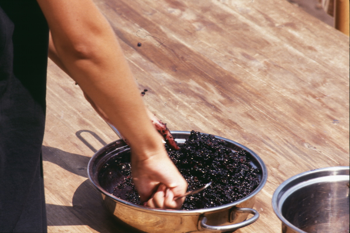 029_lecker_beeren.jpg