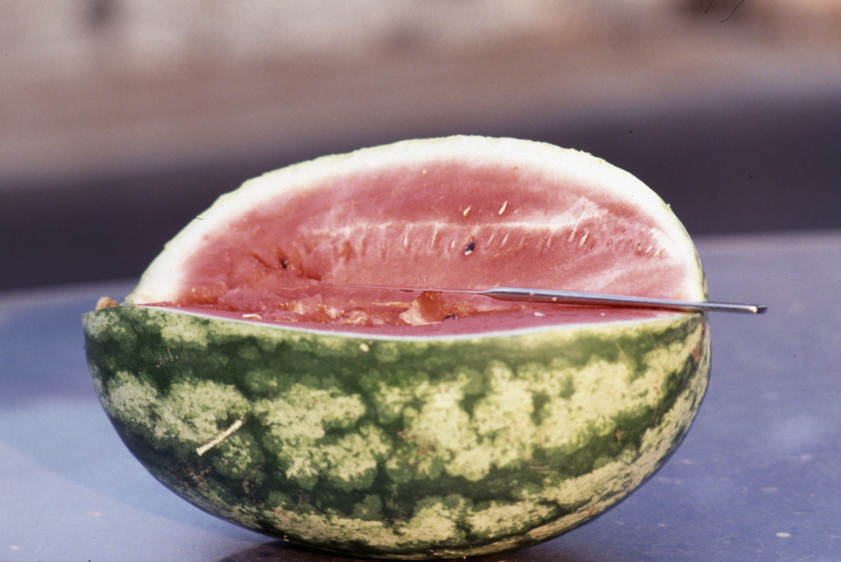 057_zwischenmahlzeit.jpg