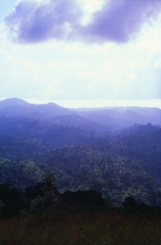 026_dunst_ueber_dem_tal.jpg